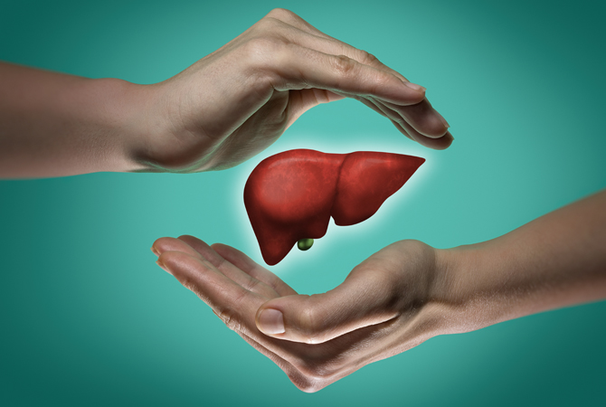 The concept of a healthy liver.