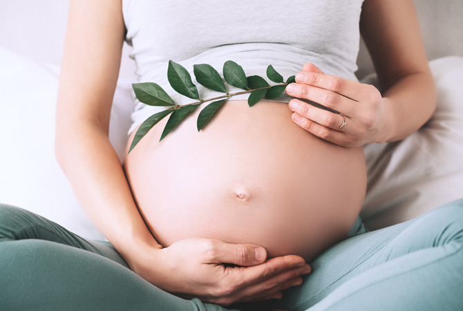 Pregnant woman holds green sprout plant near her belly as symbol