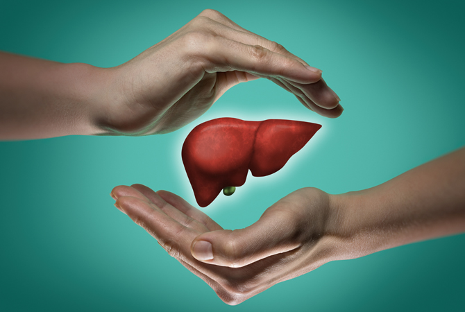 The concept of a healthy liver.