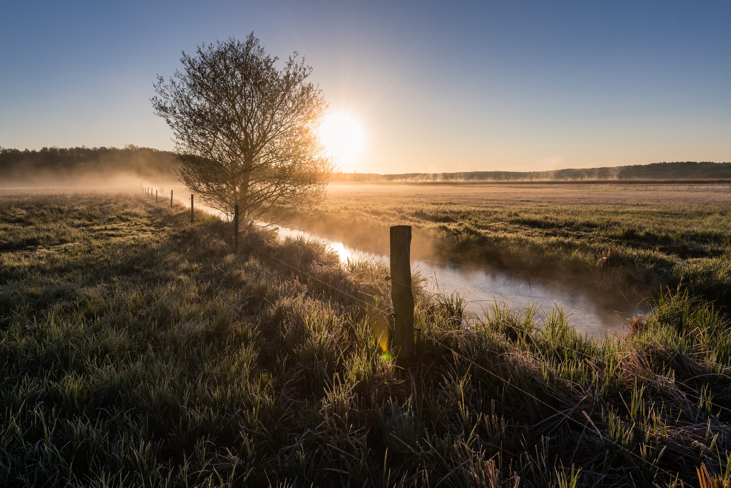 _DSC1203_Markus Tiemann